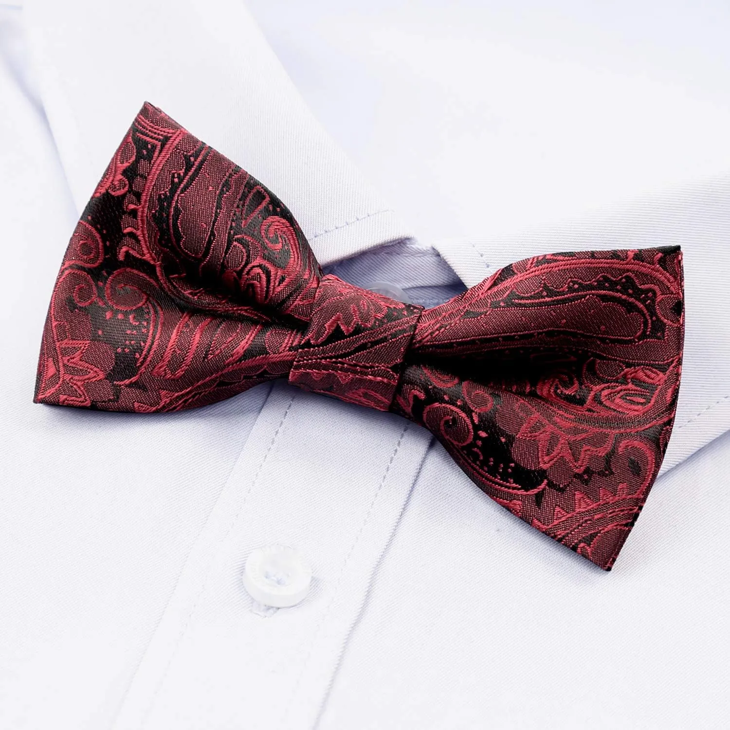Alizeal Boys Adjustable Fashion Paisley Floral Strapped Pre-tied Kids Bow Tie