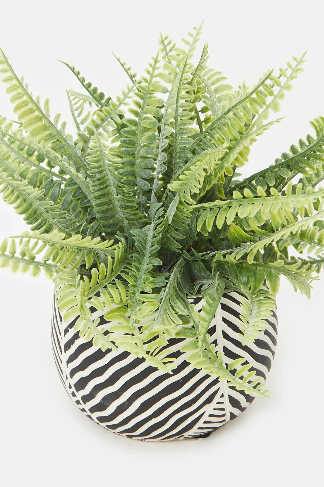 Artificial Black Printed Plant Cluster Ferns In Cement Pot