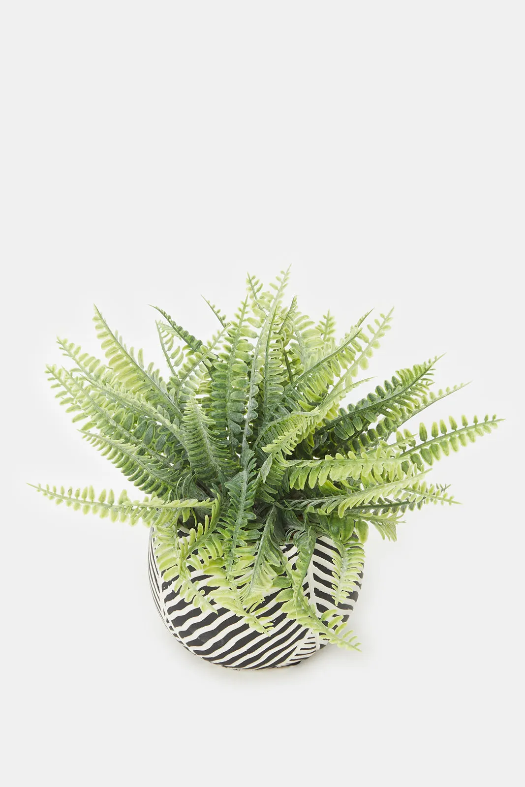 Artificial Black Printed Plant Cluster Ferns In Cement Pot