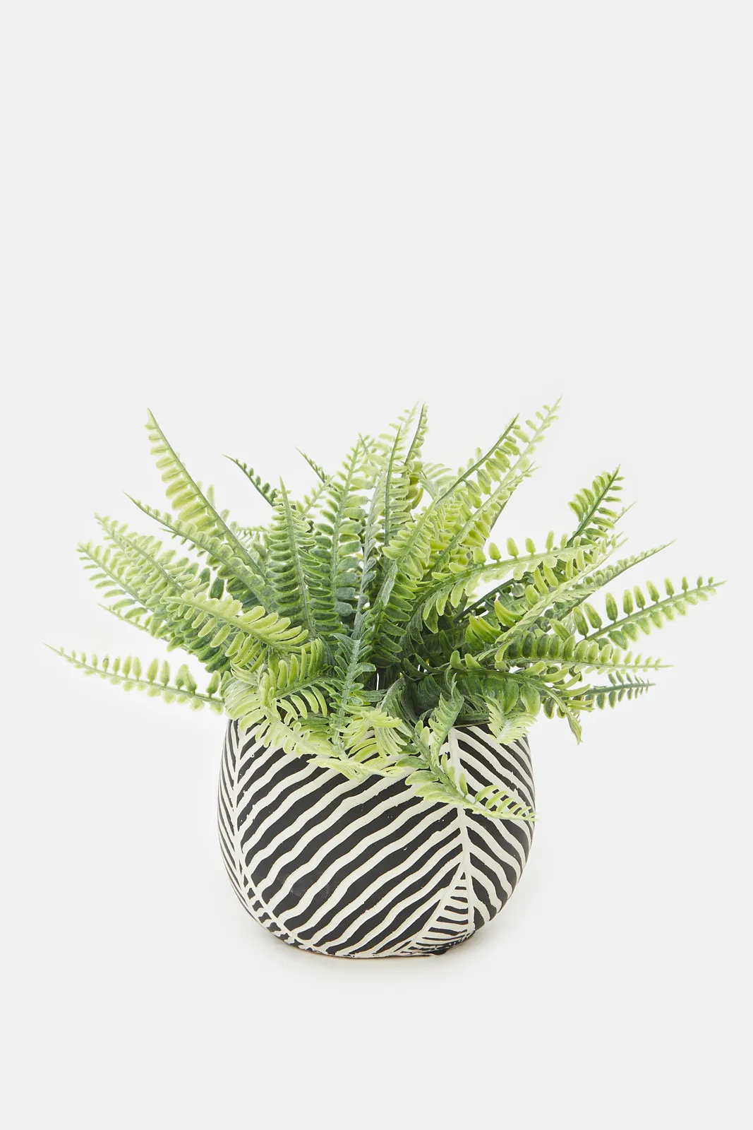 Artificial Black Printed Plant Cluster Ferns In Cement Pot