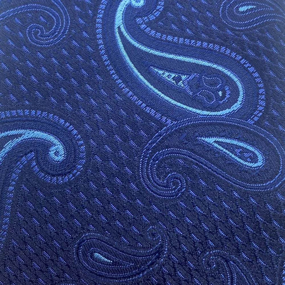 Canali Blue Paisley Silk Tie