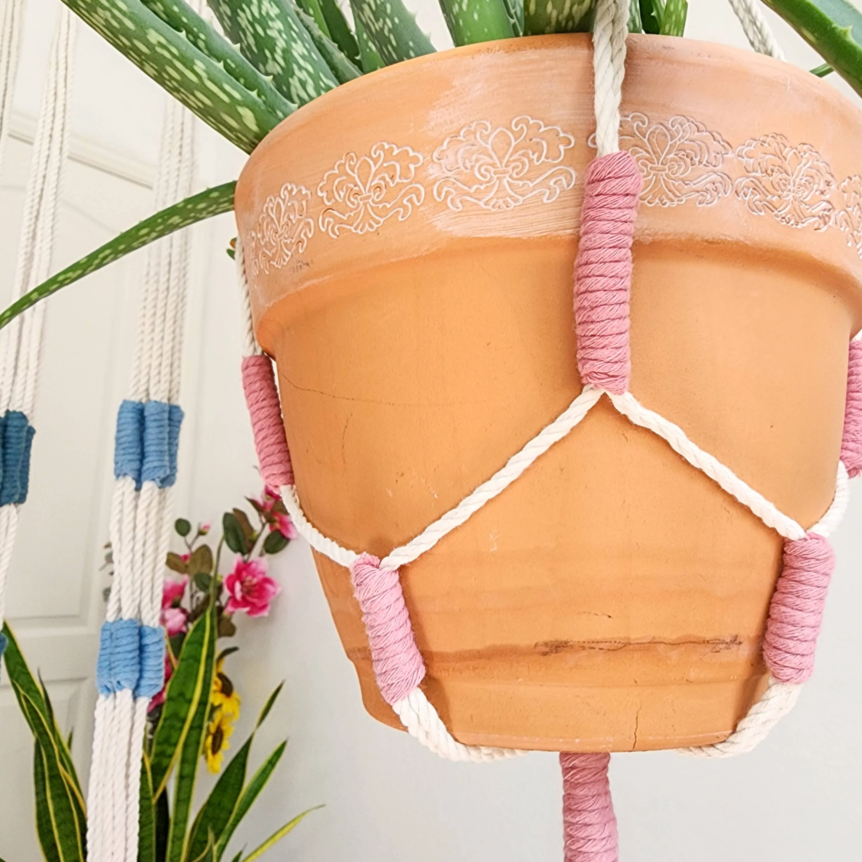 Color Block Plant Hangers, Handmade Macrame Plant Accessory WHOLESALE