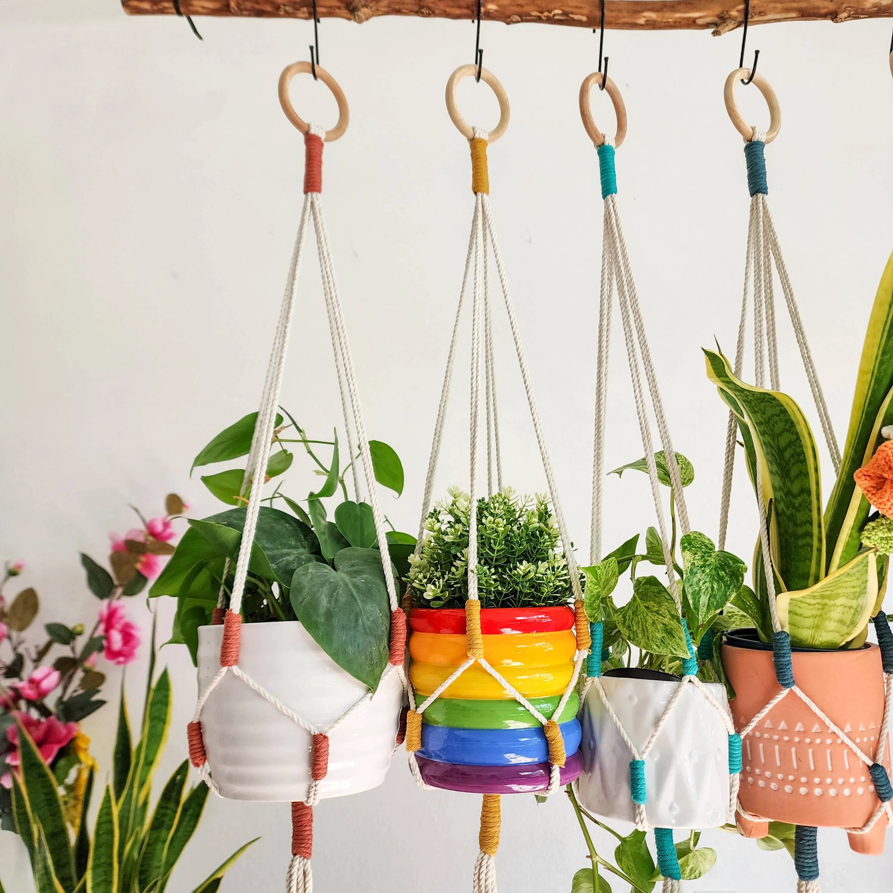 Color Block Plant Hangers, Handmade Macrame Plant Accessory WHOLESALE