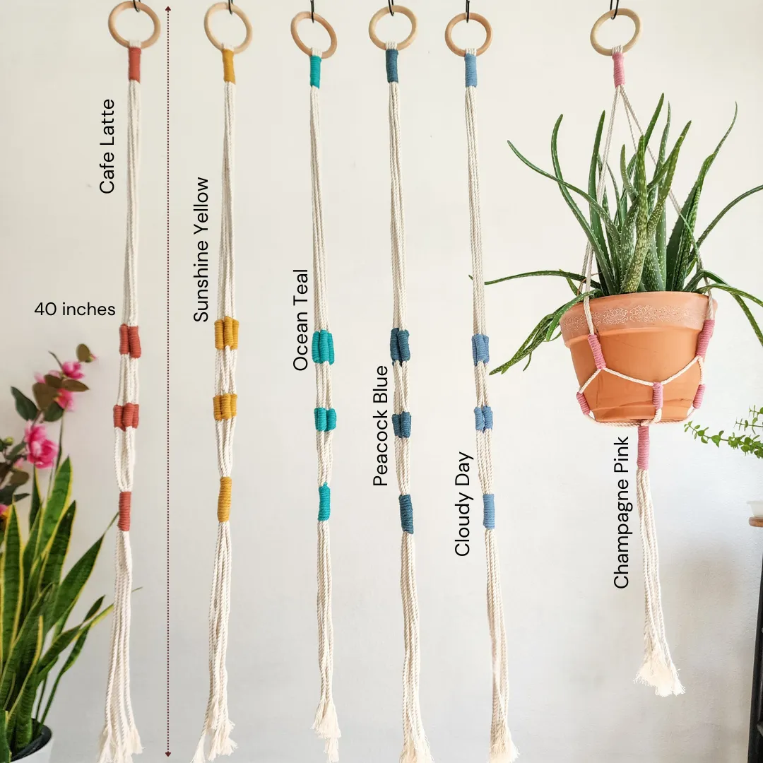 Color Block Plant Hangers, Handmade Macrame Plant Accessory WHOLESALE