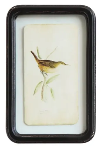 Distressed Wood Frame Wall Decor, Birds, 6 Styles