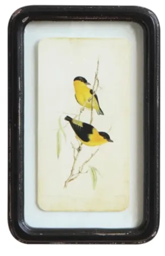 Distressed Wood Frame Wall Decor, Birds, 6 Styles