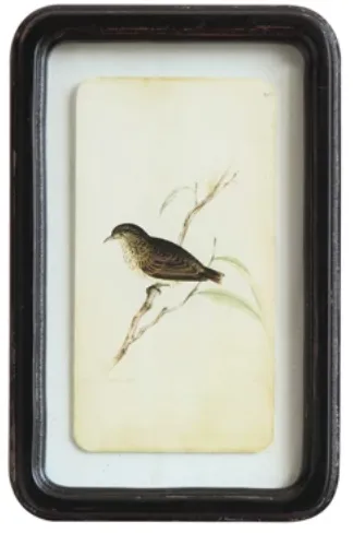 Distressed Wood Frame Wall Decor, Birds, 6 Styles