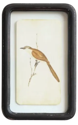 Distressed Wood Frame Wall Decor, Birds, 6 Styles