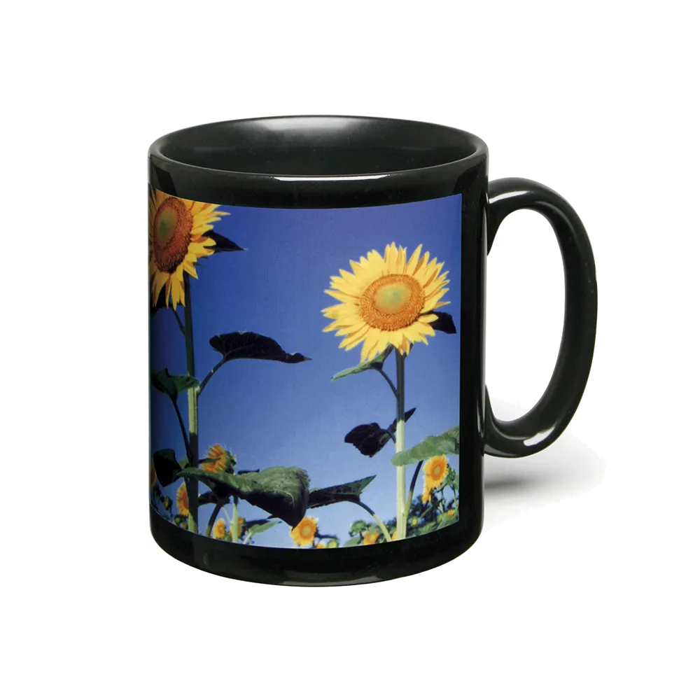 Jet Cambridge Photo Mugs
