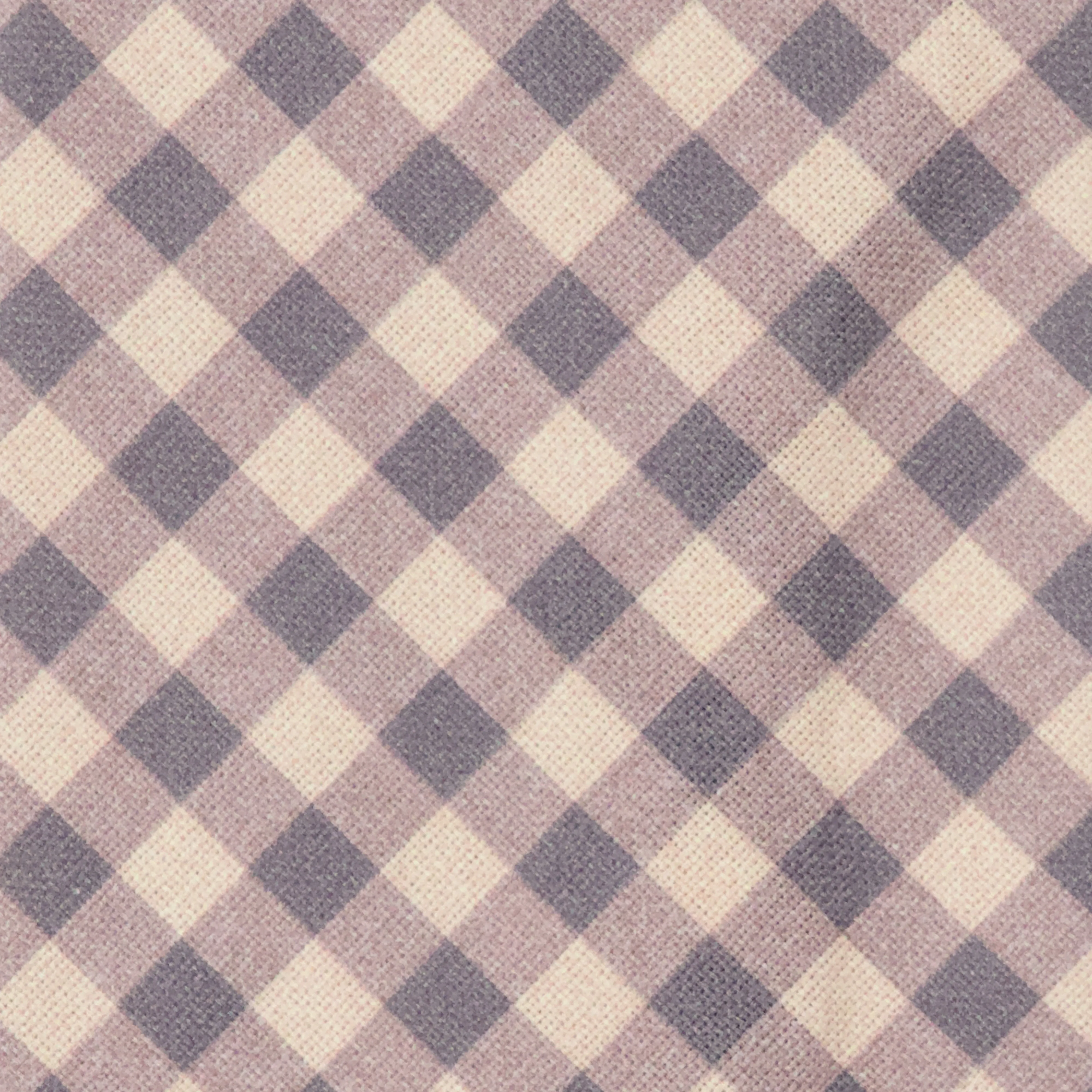 Lakeshore Classic Gingham Champagne Tie